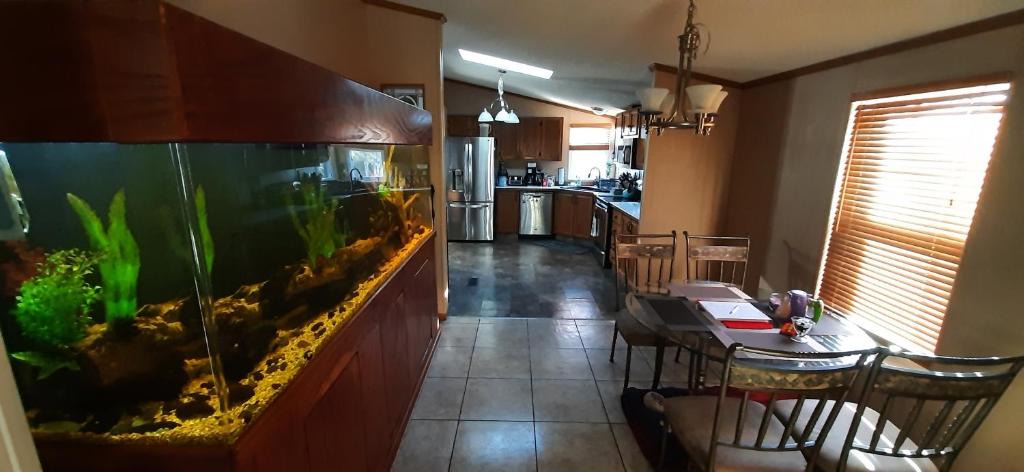 Sevierville House | Private Pet Friendly Home Near Exotic Deer Farm Close to Pigeon Forge, Gatlinburg TN