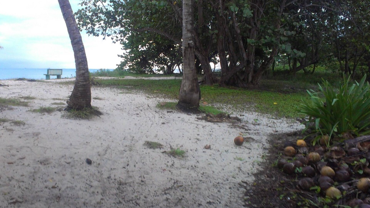 Surfside House | Private Residence(2 Bedrooms) with your own Private Beach in Seine Bight Village