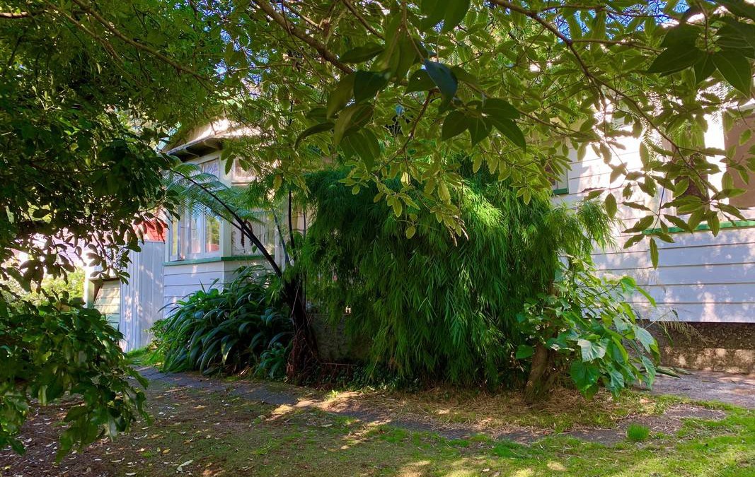 Mount Albert Resort | Private room ∙ 1 guest
