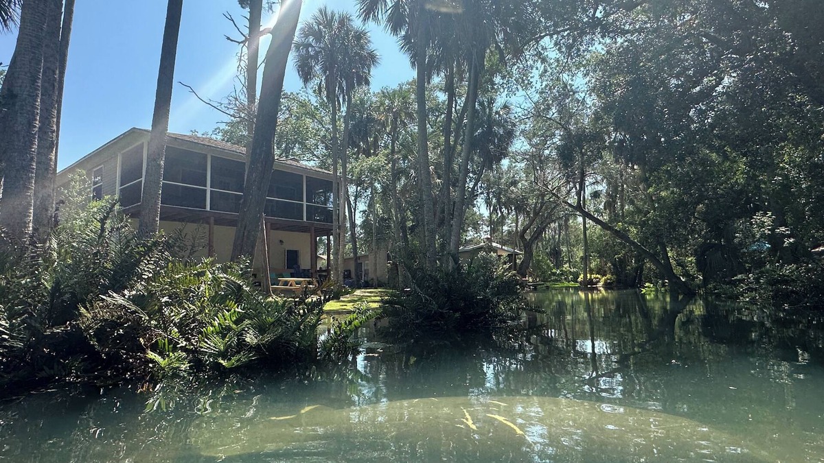 Brooksville House | Private Spring Swimming & Serenity