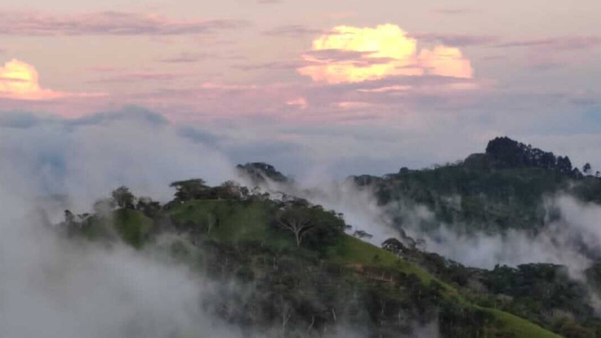 Garabito House | Private Villas Pool Sauna on 5 acre Coffee Farm in the Clouds of Costa Rica