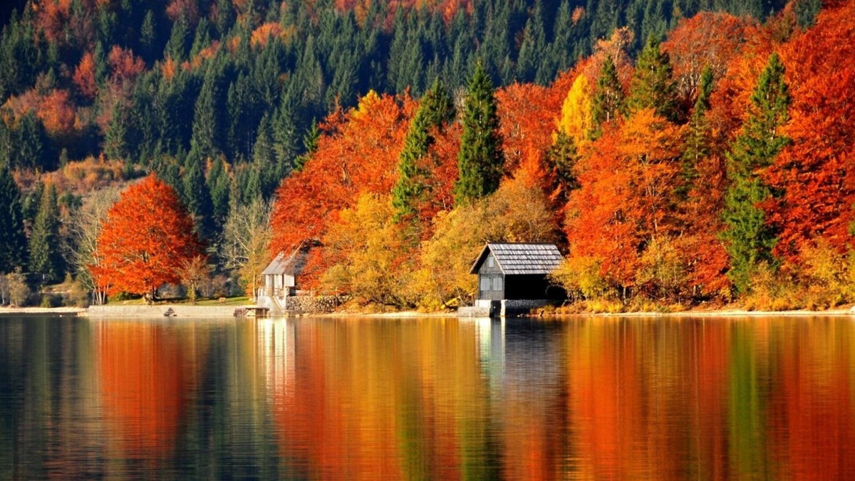 Hampstead Cottage | Private Water Front Home on Sunset Lake, Private Beach, Boating & Swimming