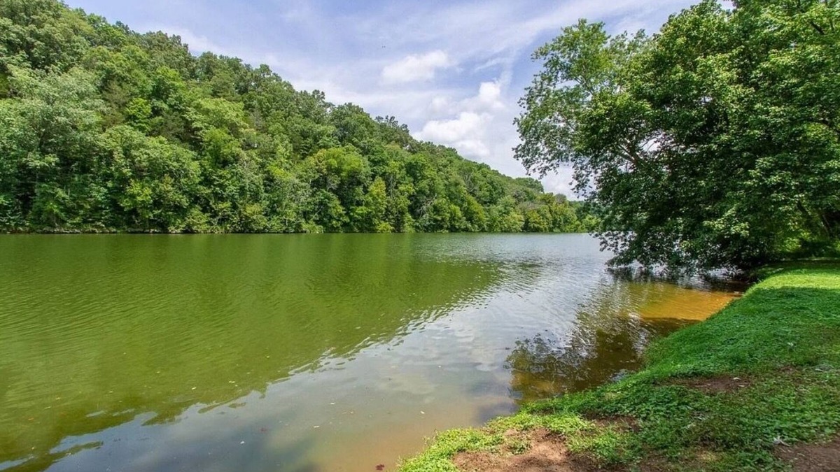 Rock Island Cabin | Private waterfront cabin in nature: Rio Cruz Retreat