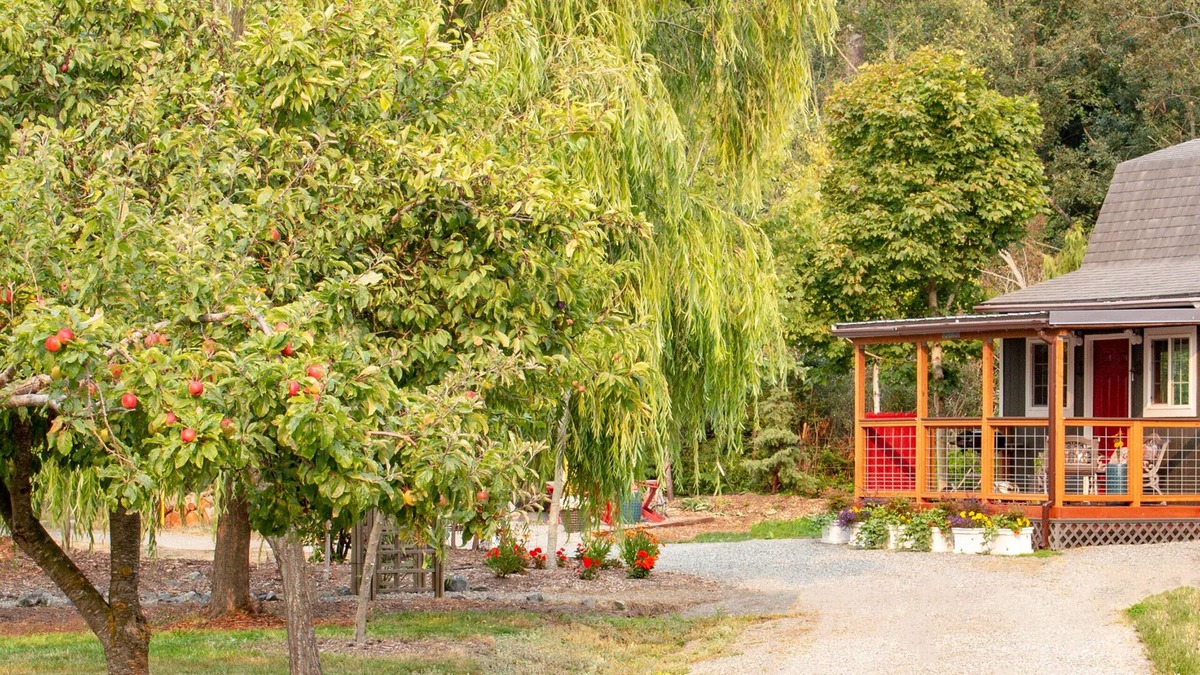 Oak Harbor Cottage | Private, well appointed, VERY clean using enhanced cleaning practices, comfy!