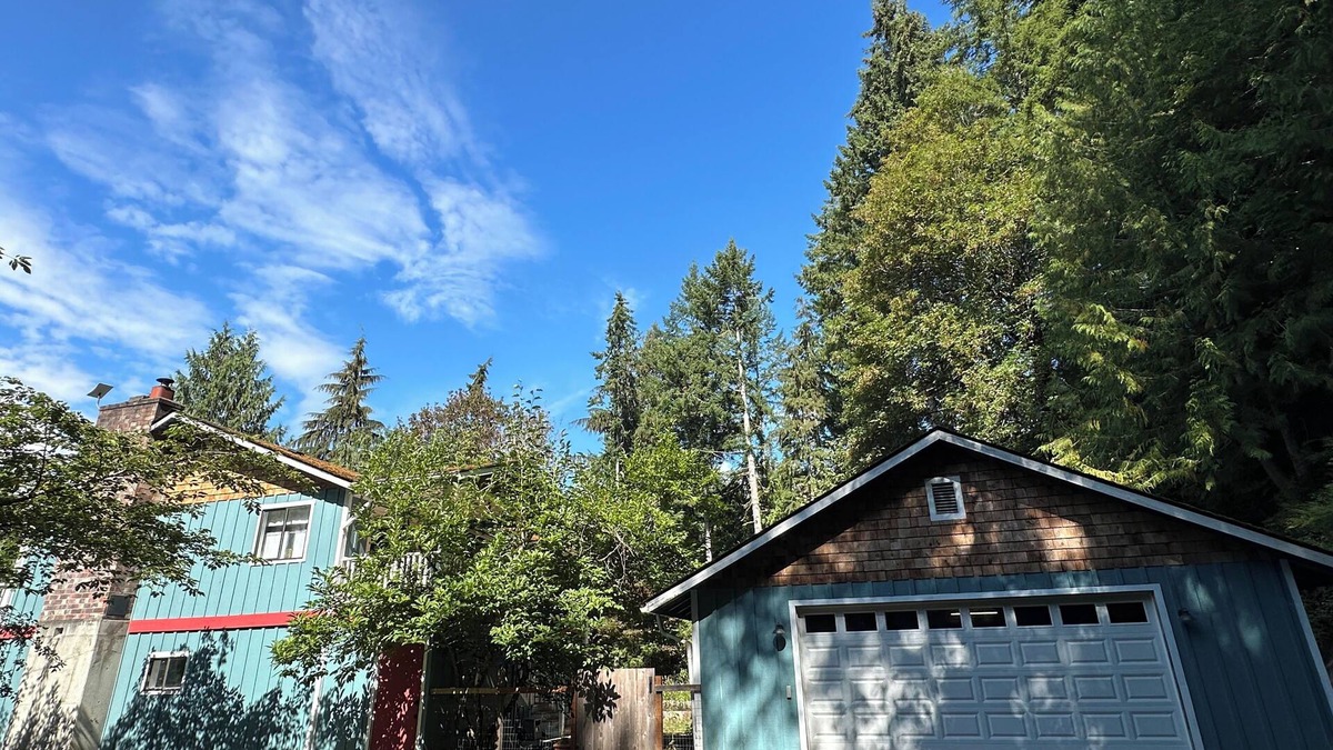 West Hills Cabin | Private wooded retreat cabin with hot tub in Seabeck