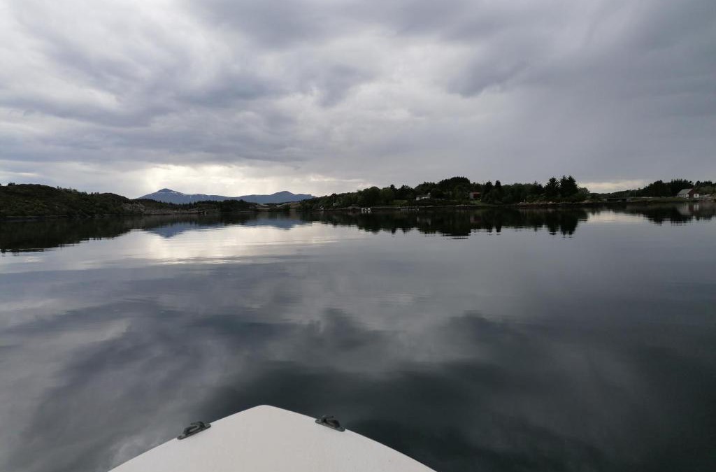 Averoy Municipality Other | Pro Fish camping and boat rent