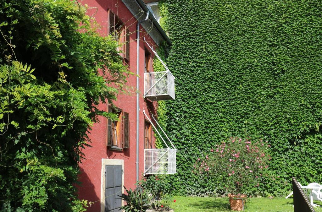 Bad Radkersburg Apartment | Provianthaus