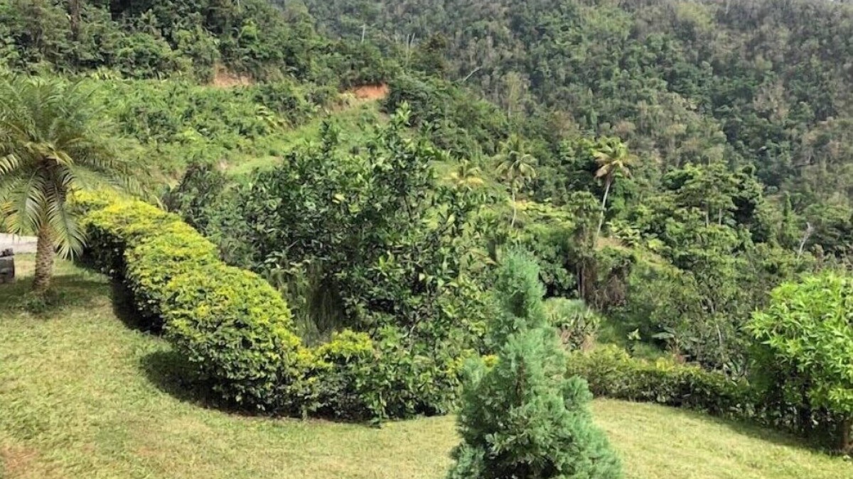 Mahaut Cottage | Providence ,Charming 3-bedroom cottage with WiFi and AC in Mahaut.