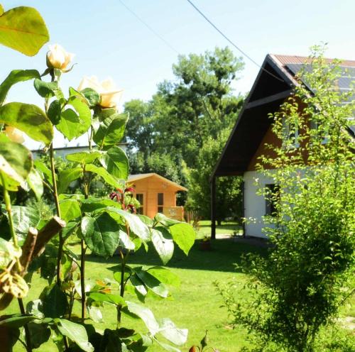 Orlinki Apartment | Przystanek Przegalina