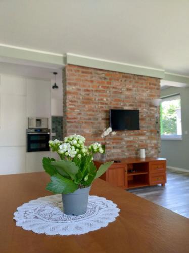 Opole Apartment | Przytulne mieszkanie w domku, spokojna dzielnica blisko centrum