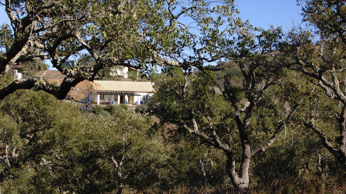 Santa Catarina da Fonte do Bispo House | Romantic house in the Algarve hills