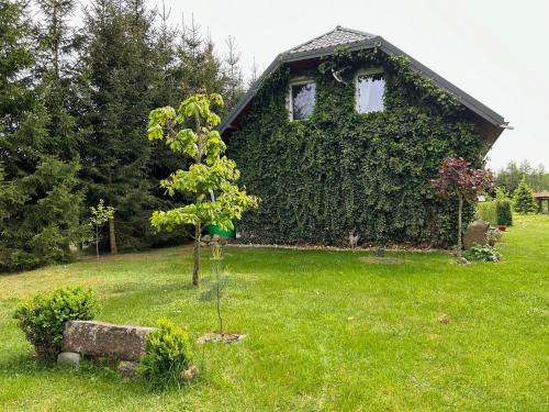 Hajnowka Villa | Pucówka na skraju Puszczy Białowieskiej