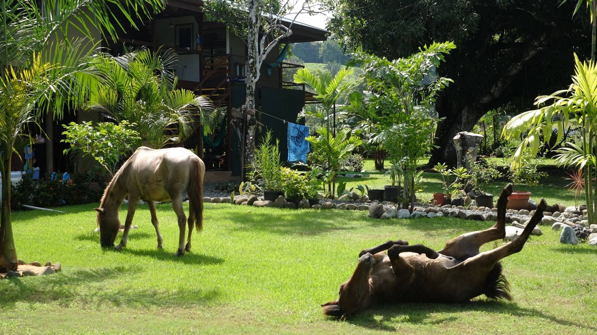 Langostino House | Puerto Pilon Pavones