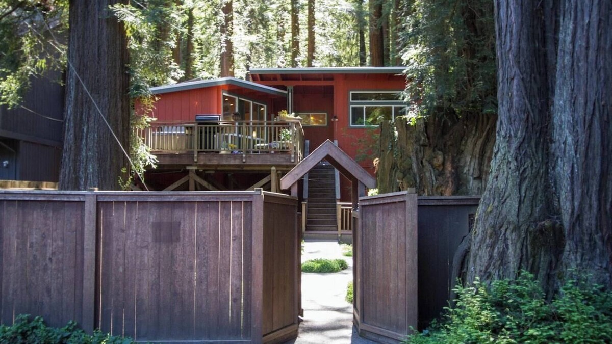 Guerneville Cottage | Pumpkin House Summary