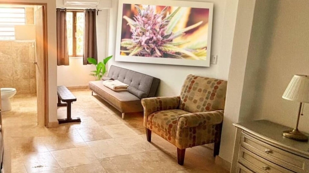Hato Abajo Bed & Breakfast | Purple Haze@BednBongExpnn