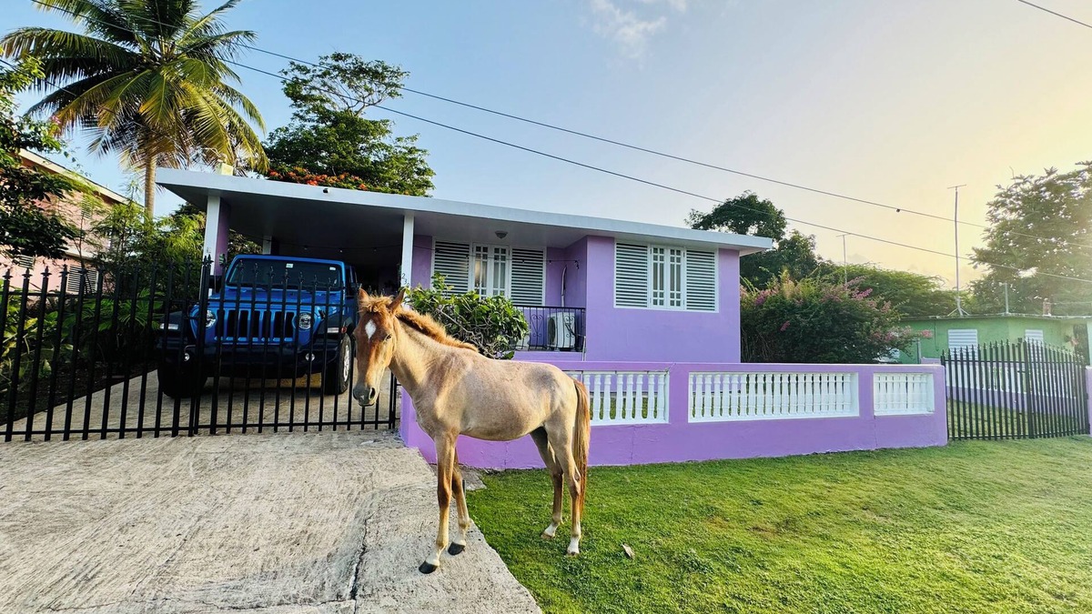 Esperanza House | Purple Sunset - Walk to Malecon & Beaches
