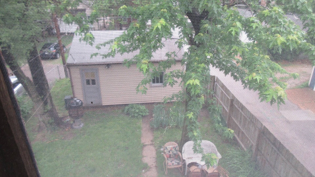 St. Louis Apartment | Quaint Arts and Crafts Five Room Second Floor Flat