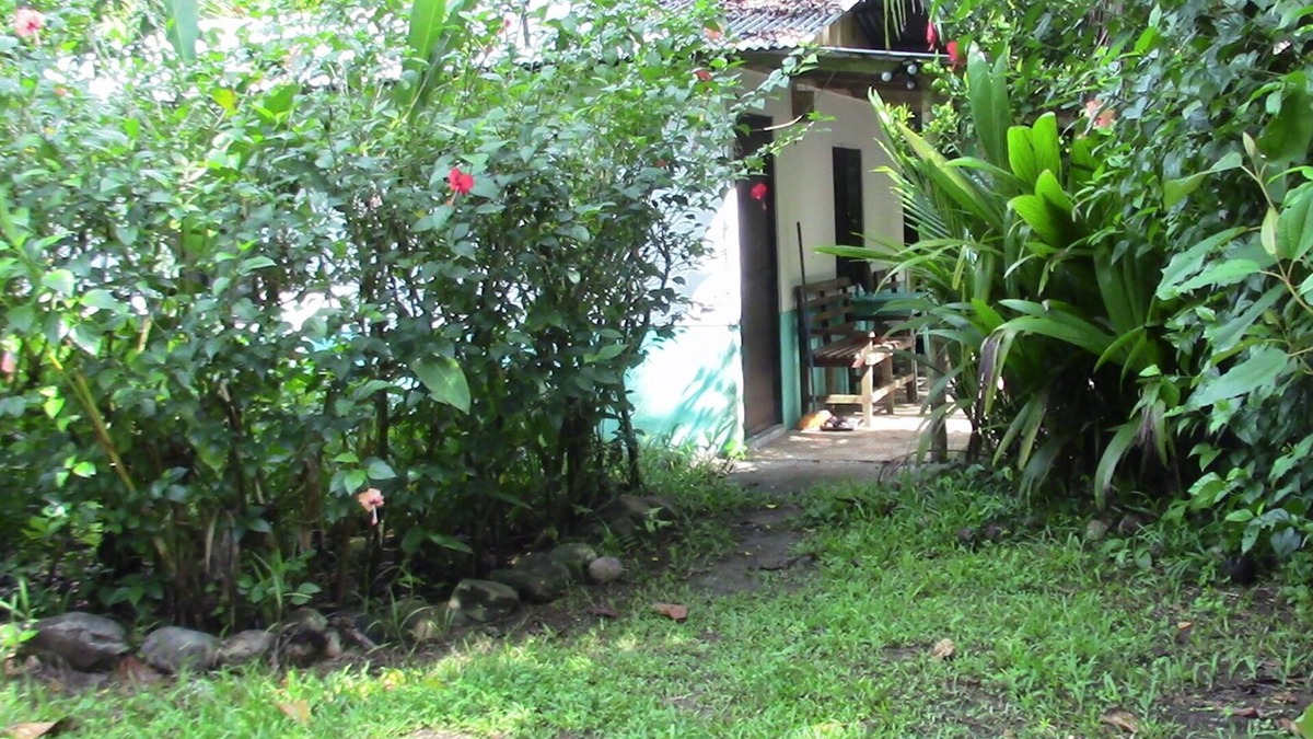 Tres Rios Cabin | Quaint Little Cabina Located near all Services, Nestled in a Jungle Environment