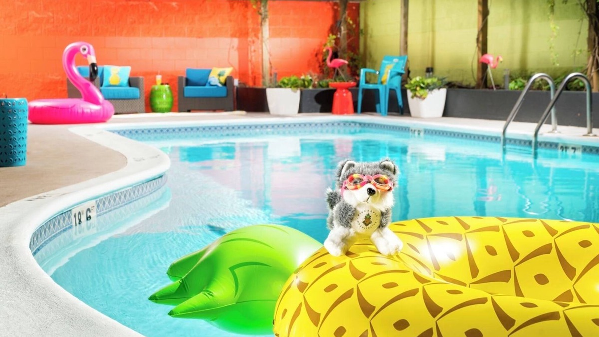 University District Hotel | Quaint Seattle Room with Tropical Flair & Treats| 2 Family Ready Rooms