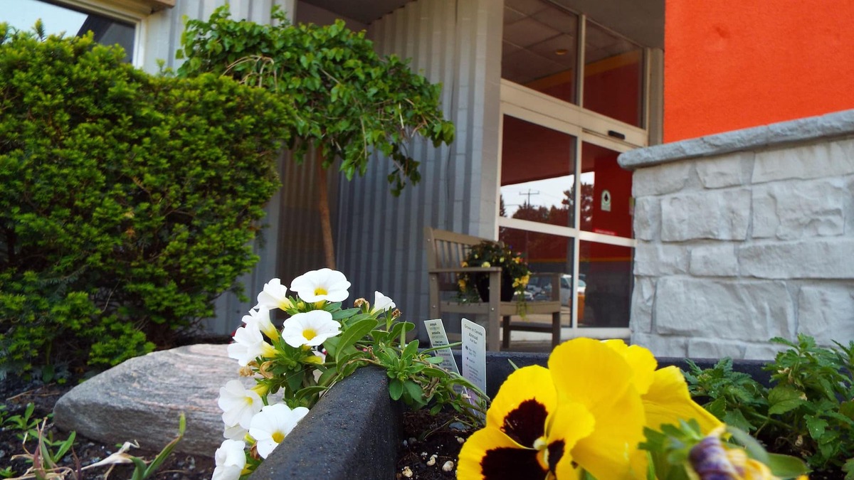 Owen Sound Hotel | Quality Inn