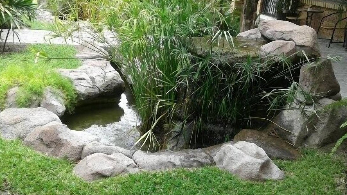 Maun Apartment | Queness Inn