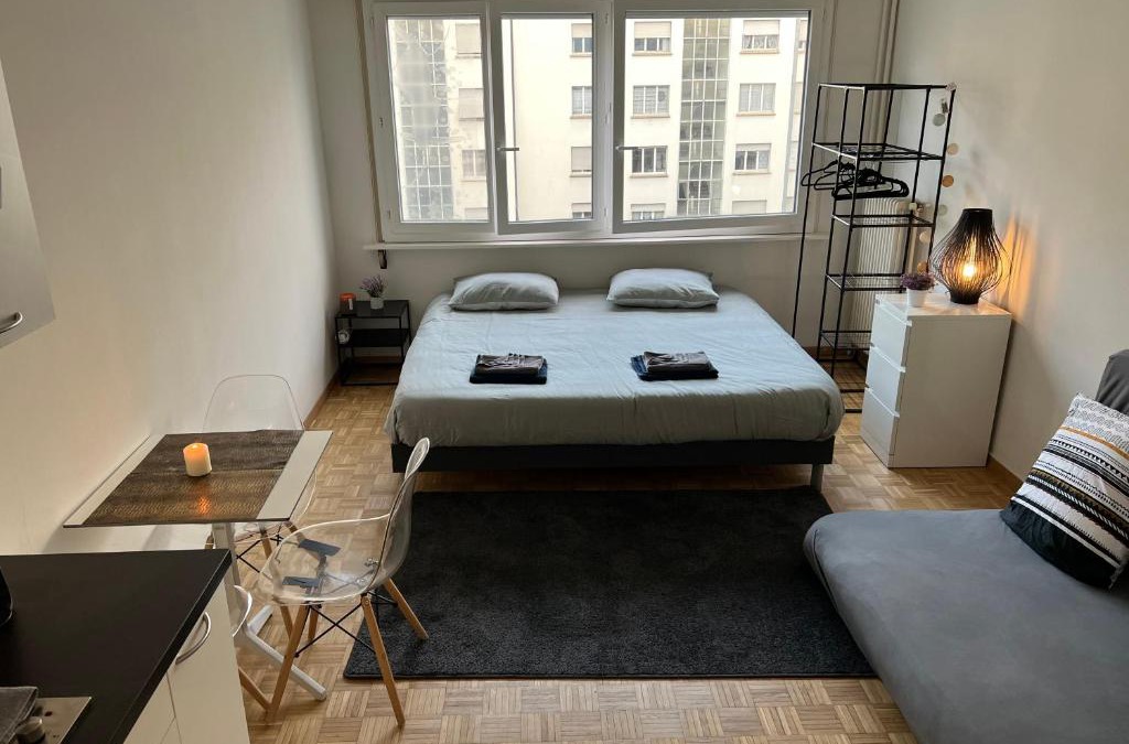 Downtown Geneva Apartment | Quenn Bee studio
