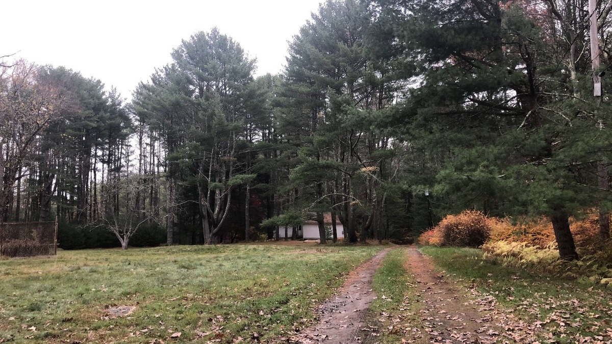 Forestburgh House | Quiet 4 Bedroom House with Lake Views on large field - perfect for family breaks