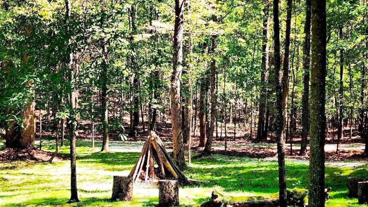 Palmetto Cabin | Quiet Cabin Retreat Near Serenbe