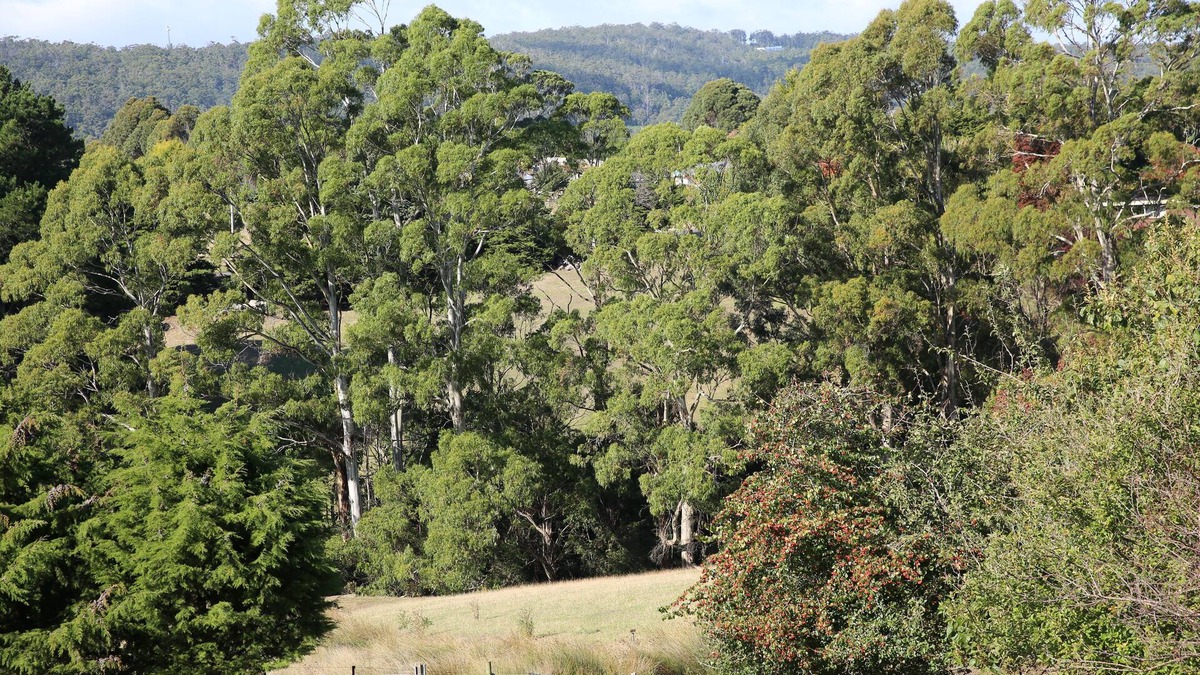 Don House | Quiet country area 5 mins from Devonport - central location