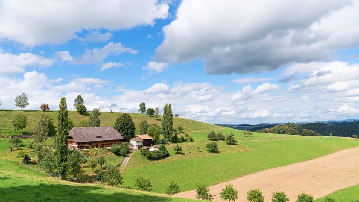 Rohrbachgraben Other | Quiet holiday flat in the countryside and with mountain views