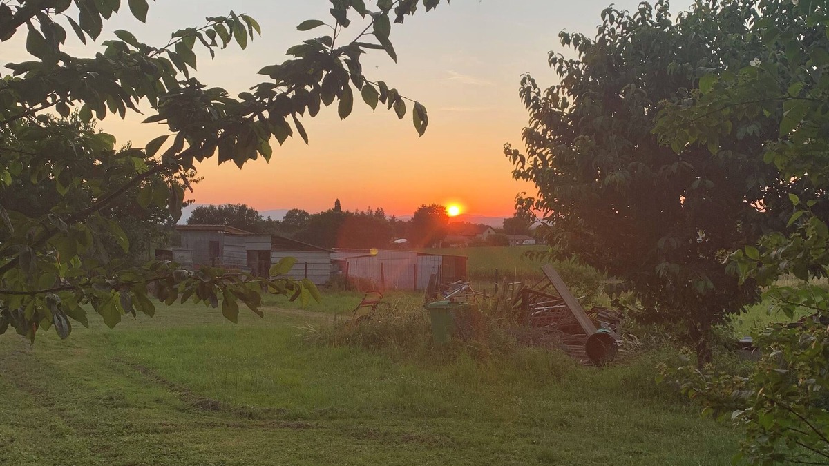 Marcollin Apartment | Quiet location, ideal for families with children 2000 m2 for play and relaxation