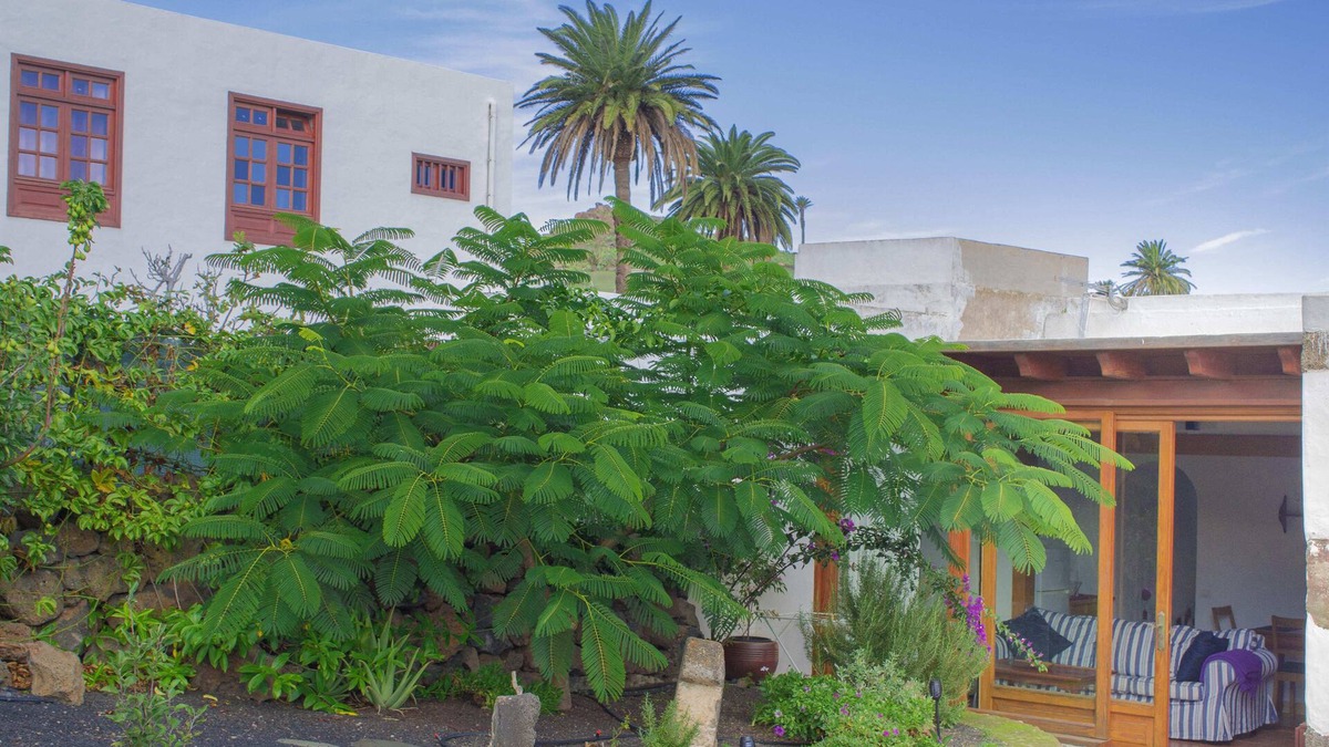 Haria House | Quiet Rural House in Haría