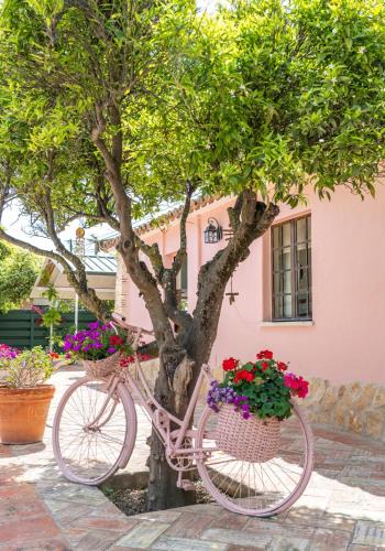 Lagoa e Carvoeiro House | Quinta Aida Cottage and B&B Suites