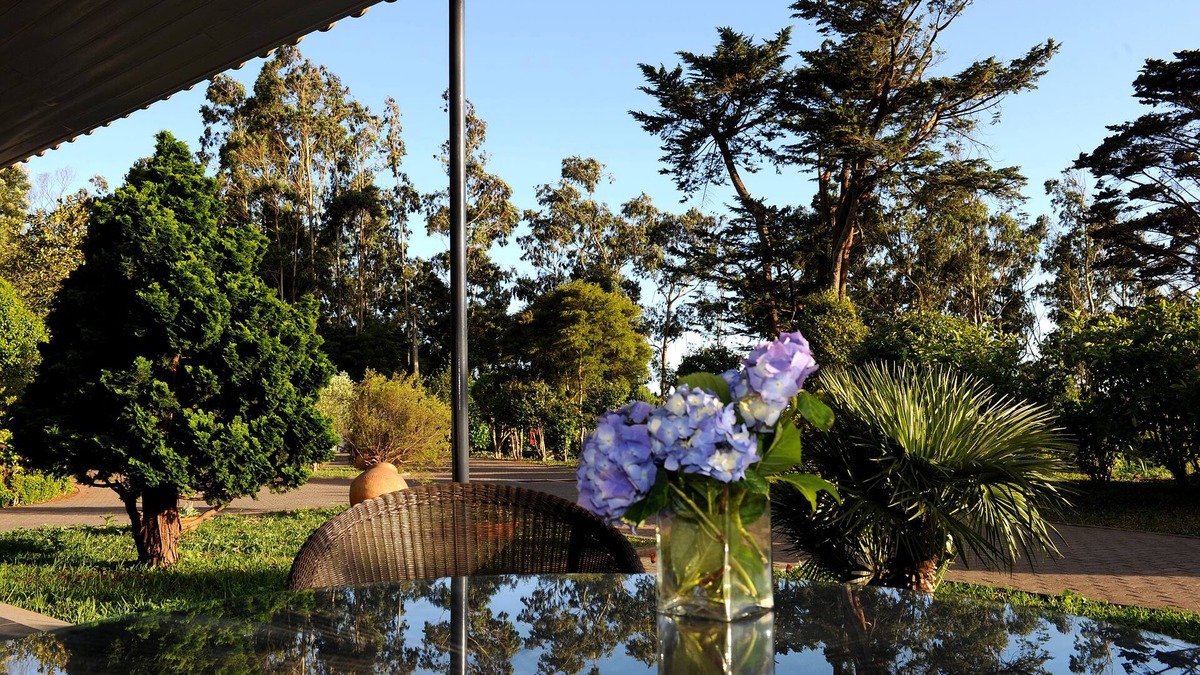 Santo da Serra House | Quinta Cova do Milho