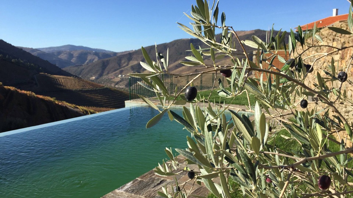 Cotas House | Quinta da Gricha