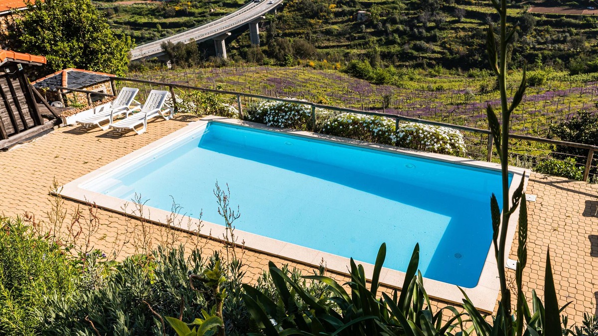 Castelo de Paiva House | Quinta do Pereiro de Cima