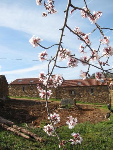 Torre de Moncorvo House | Quinta dos Baldo