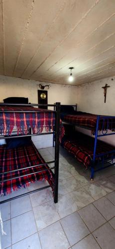 San Francisco de los Romos Other | Quinta el cocula cabañas y camping