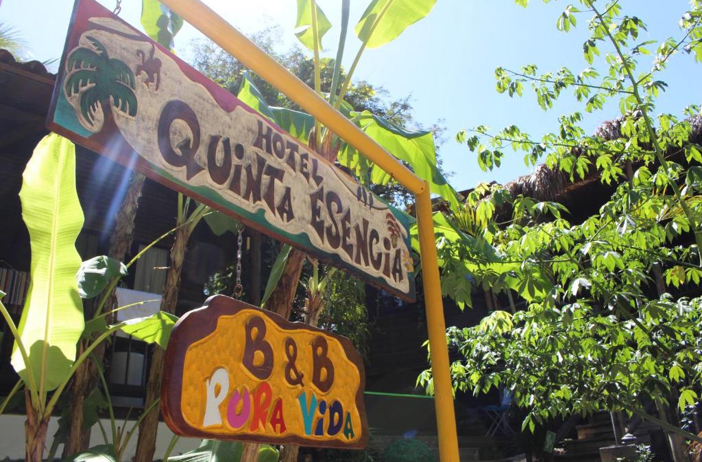 Brasilito Bed & Breakfast | Quinta Esencia