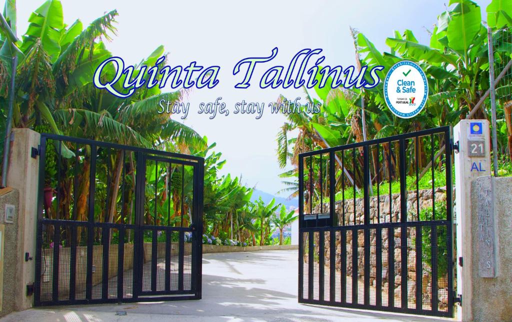 Santo Antonio Apartment | Quinta Tallinus