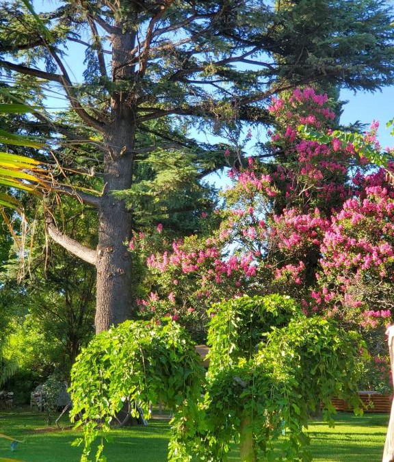 Chacras de Coria Bed & Breakfast | Quinta Ugarte