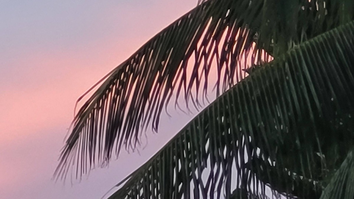New Town House | Quintessential Keysie ADORABLE 2-bedroom house w/AC in Key West-1 Month Min Stay