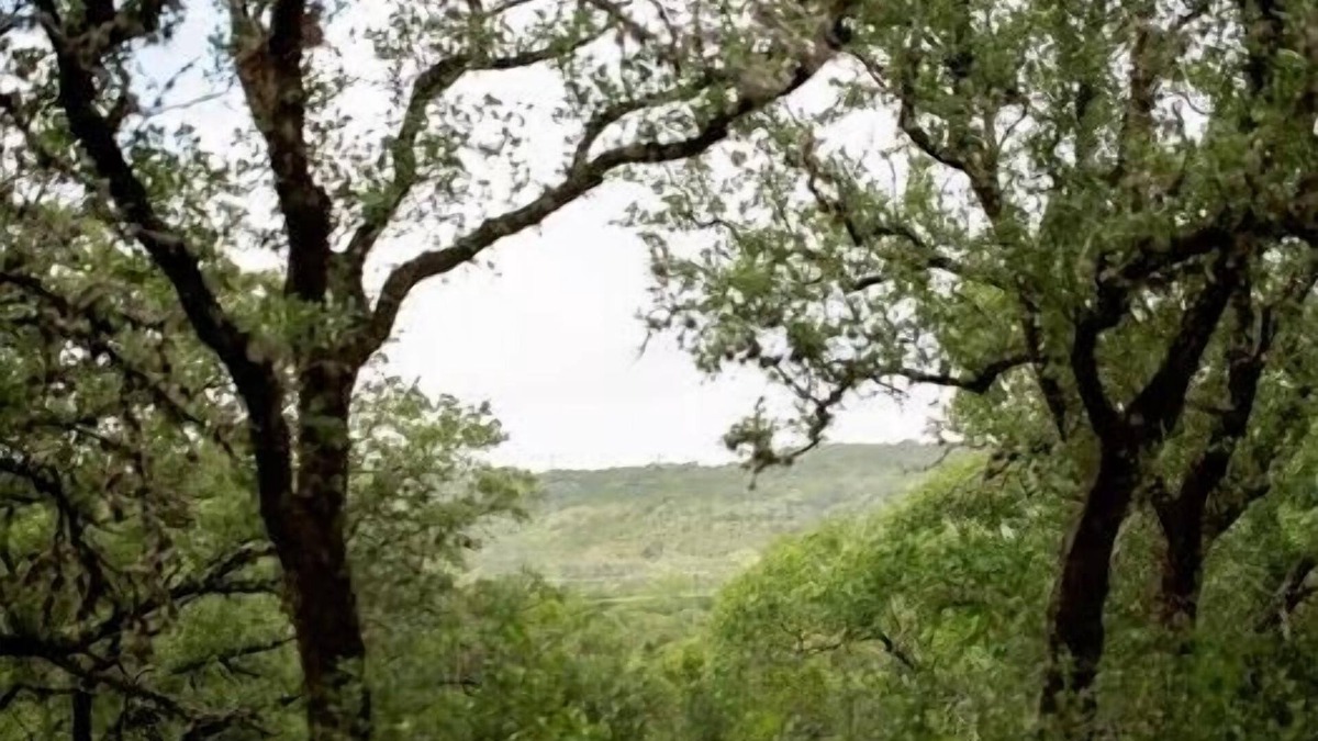 Helotes Cabin | Quirky, Tiny Lodge and San Antonio Hill Country