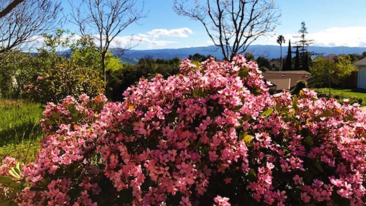 Edenvale House | Quite guest-unit on a hilltop, an ideal longterm