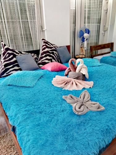 Miskolc House | Rákóczi Guesthouse Miskolc