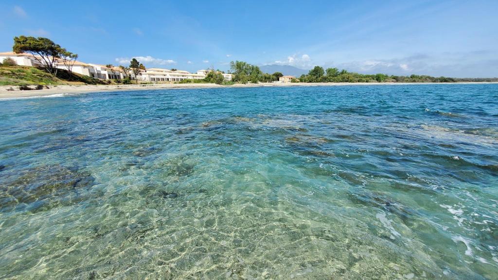 Bravone Apartment | Résidence Marina Di Bravone