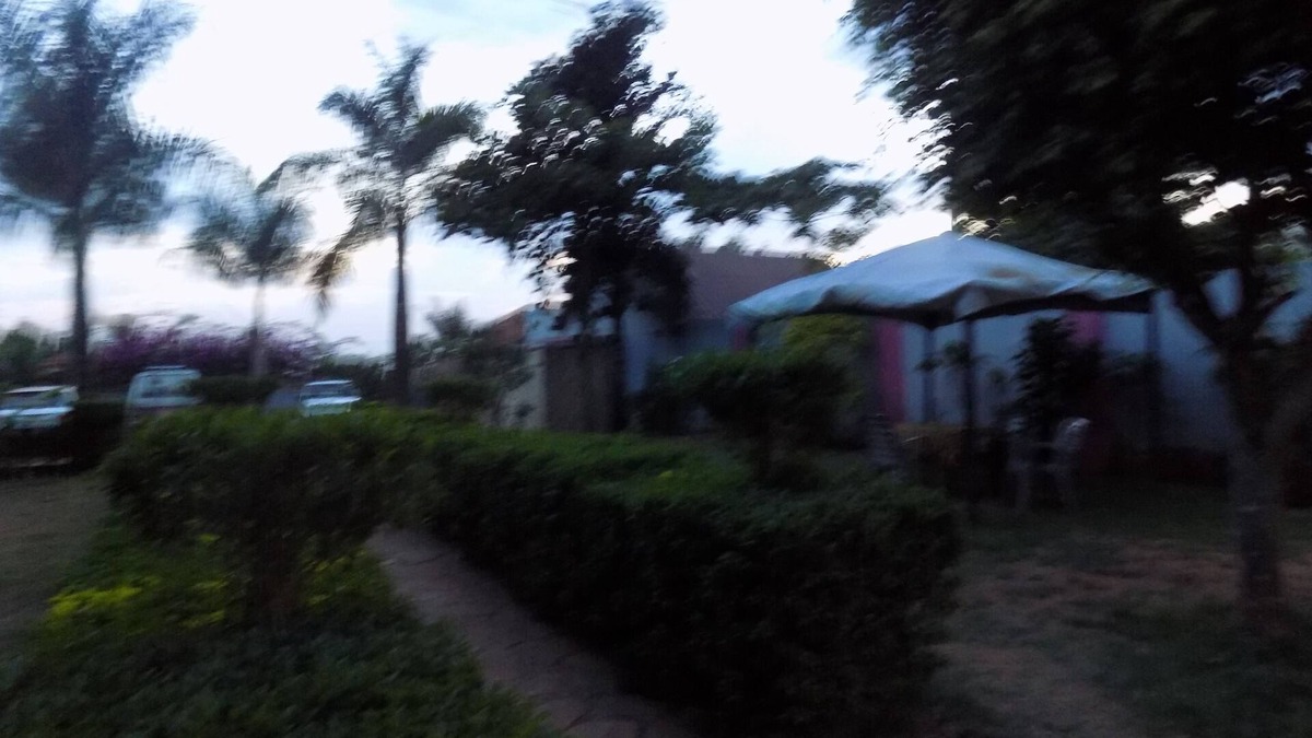 Mbale Bed & Breakfast | R & R Gardens