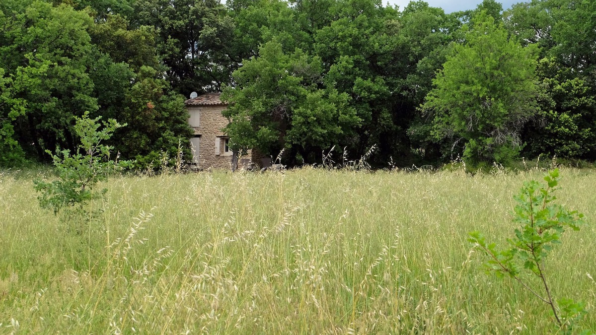 Gordes Cottage | RABASSO: pretty shed in the middle of nature.