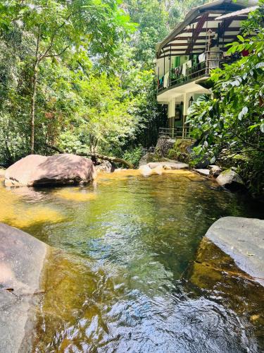 Kithulgala Hotel | Rabuka Resort