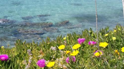 Agia Marina Hotel | Rachel Hotel
